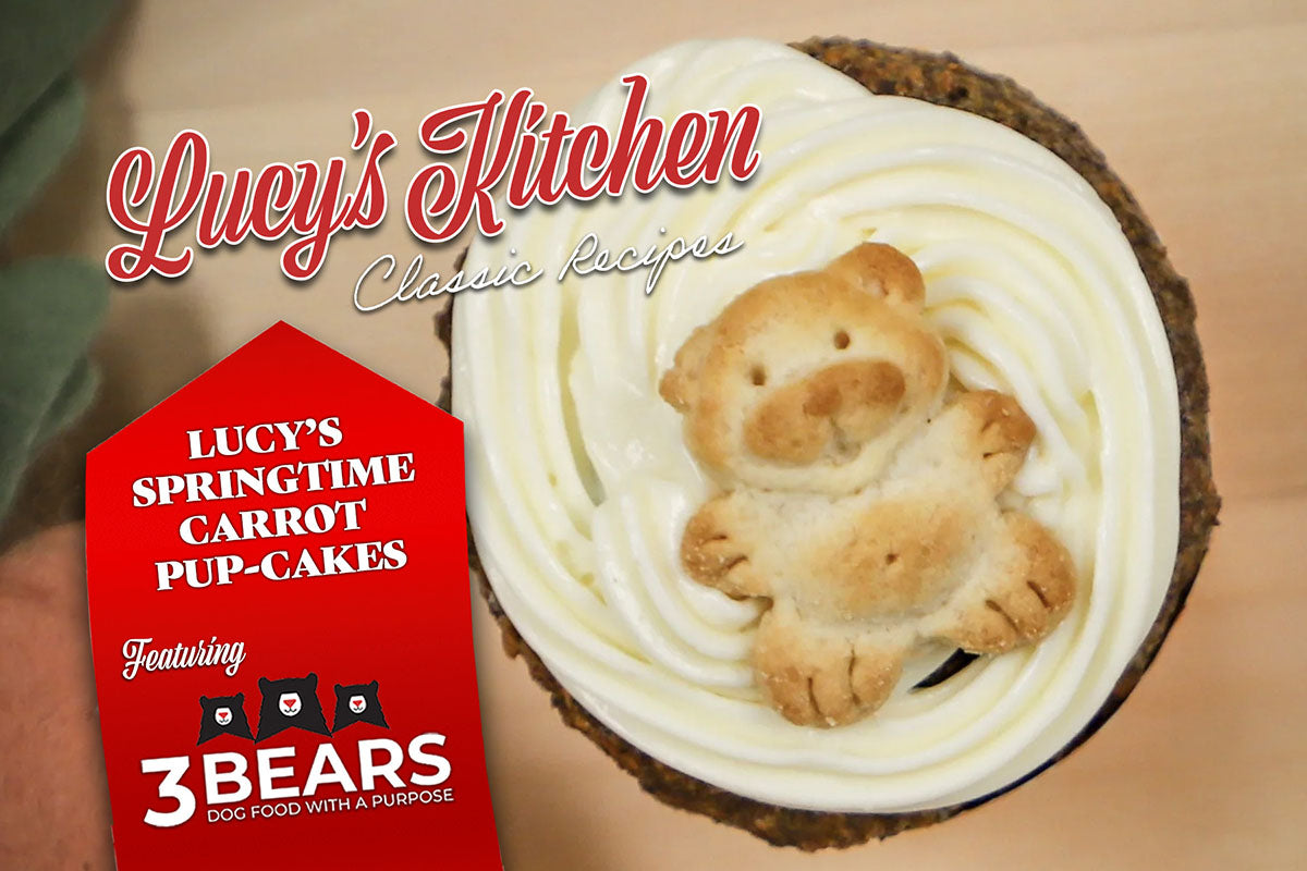 Springtime Carrot Pup-Cake Recipe: The Perfect Cupcake for your Dog – Grandma Lucy's
