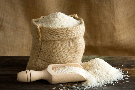 Is Rice a Safe Food to Feed to Your Dog?