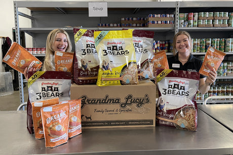 How We Give Back: Making an Impact for Pets in May