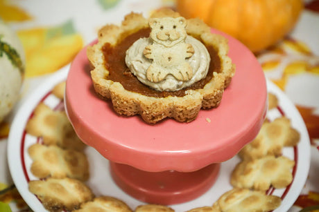 Pumpkin pie recipe for dogs