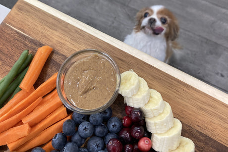 Thanksgiving Safe Food for Pets