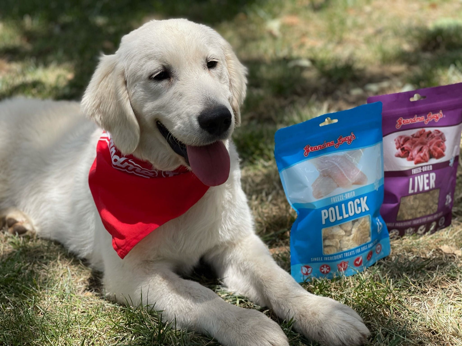 Catch Up With Little Angels' Superheroes In Training!