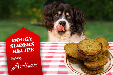 How to Make Easy Doggy Sliders