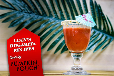 Dog-Friendly Mocktail Recipes