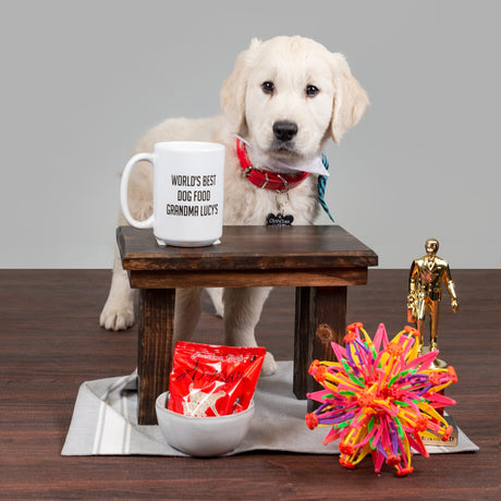 Michael Scott from The Office in puppy version