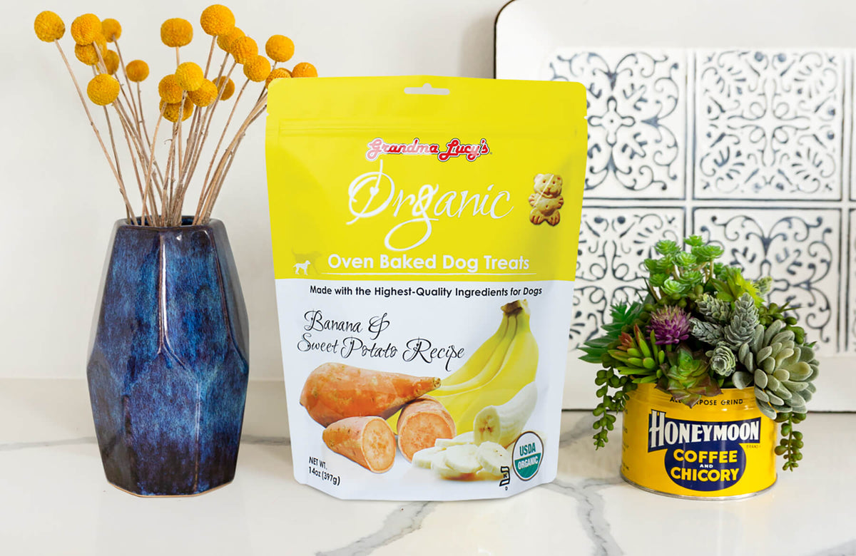 Grandma Lucy's Organic Oven Baked Banana and Sweet Potato Flavor Dog Treats Grandma Lucy's Organic Oven Baked Banana and Sweet Potato Flavor Dog Treats