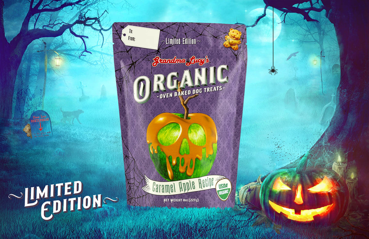 Limited edition organic caramel apple oven-baked dog treats by Grandma Lucy's, showcased in a spooky outdoor setting.