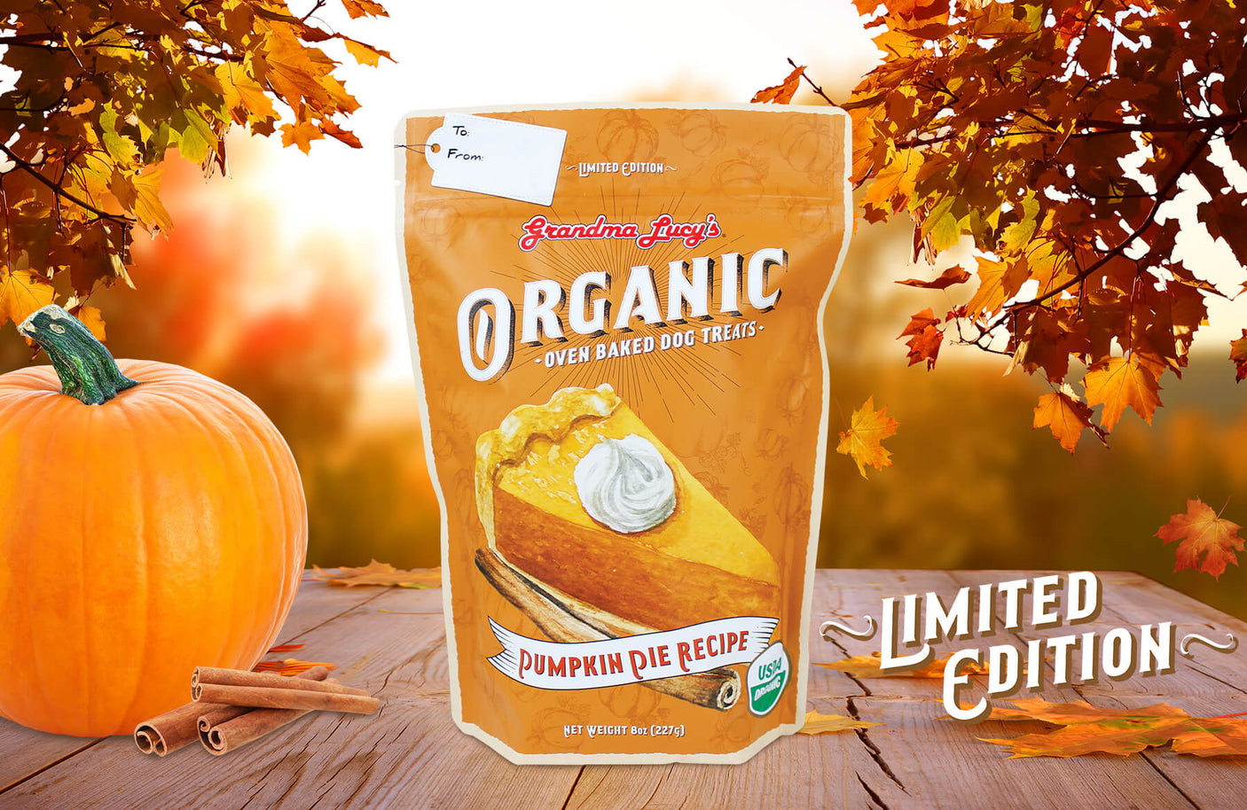 Limited edition organic pumpkin pie oven-baked dog treats by Grandma Lucys, showcased in a fall outdoor setting.