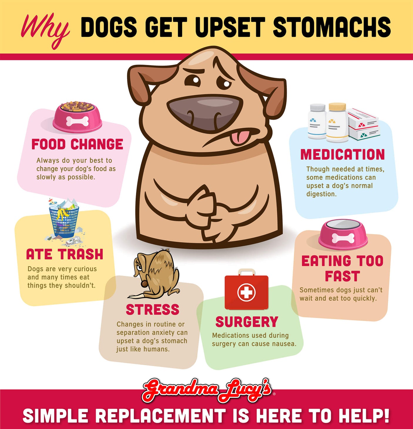 Why dogs get upset stomachs: Food change, Ate trash, Stress, Surgery, Eating too fast, Medication. Simple Replacement is here to help.