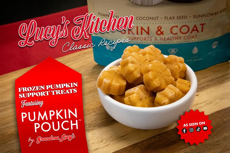 Let's Make Frozen Pumpkin Support Treats!