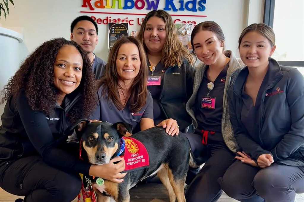 Catching Up with First Responder Therapy Dog Mayzie