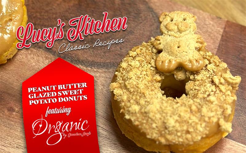 Let's Make Doggy Donuts!