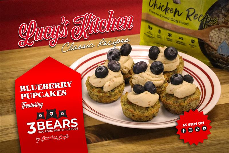 Let's Make Blueberry Pupcakes!