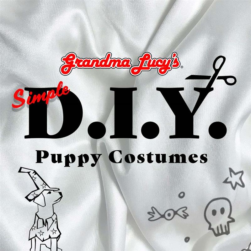 DIY Howl-oween Costumes to Have Your Dog Looking Spooky Cute!