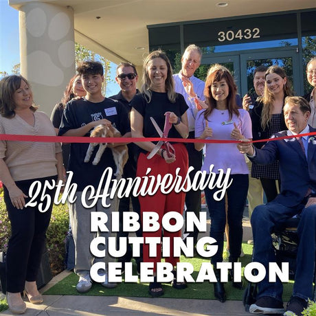 Celebrating 25 Years of Grandma Lucy's