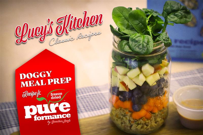 Let's Doggy Meal Prep!