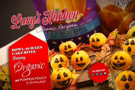 Let's Make Howl-O-Ween Cake Bites!