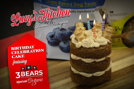 Let's Make A Birthday Celebration Cake!