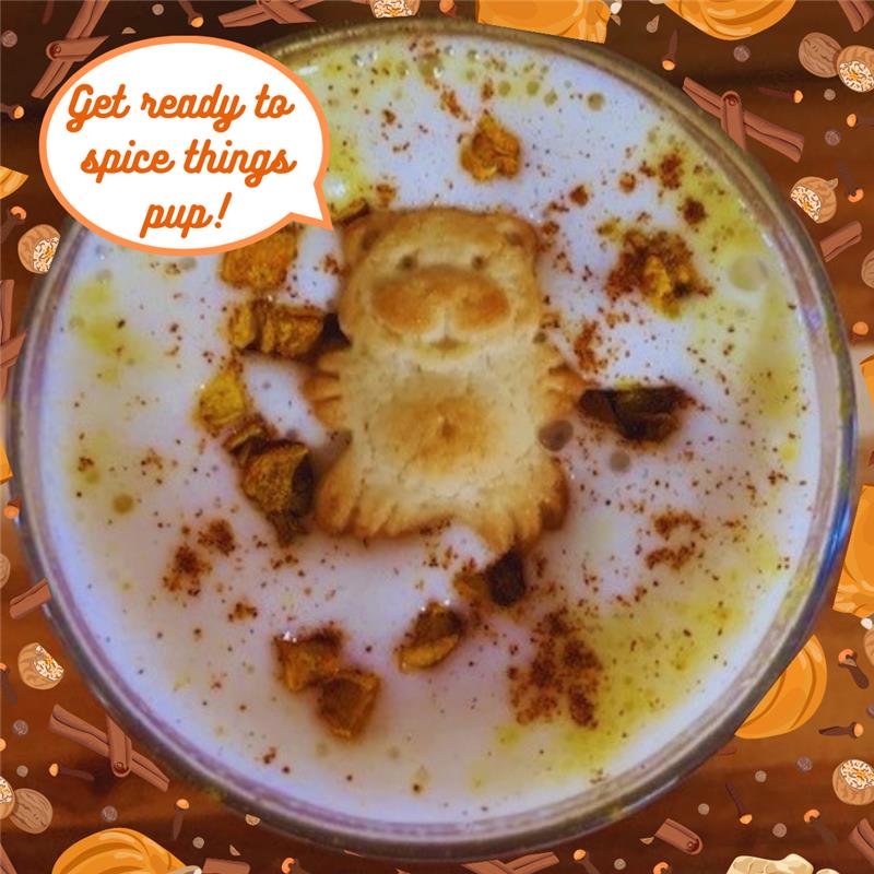 Let's Spice Things Pup- PSL Recipe!