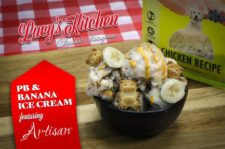 Let's Make Peanut Butter & Banana Ice Cream