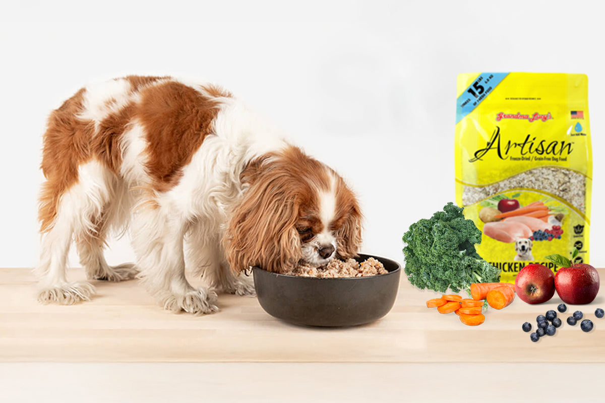 What is Solution Based Feeding?