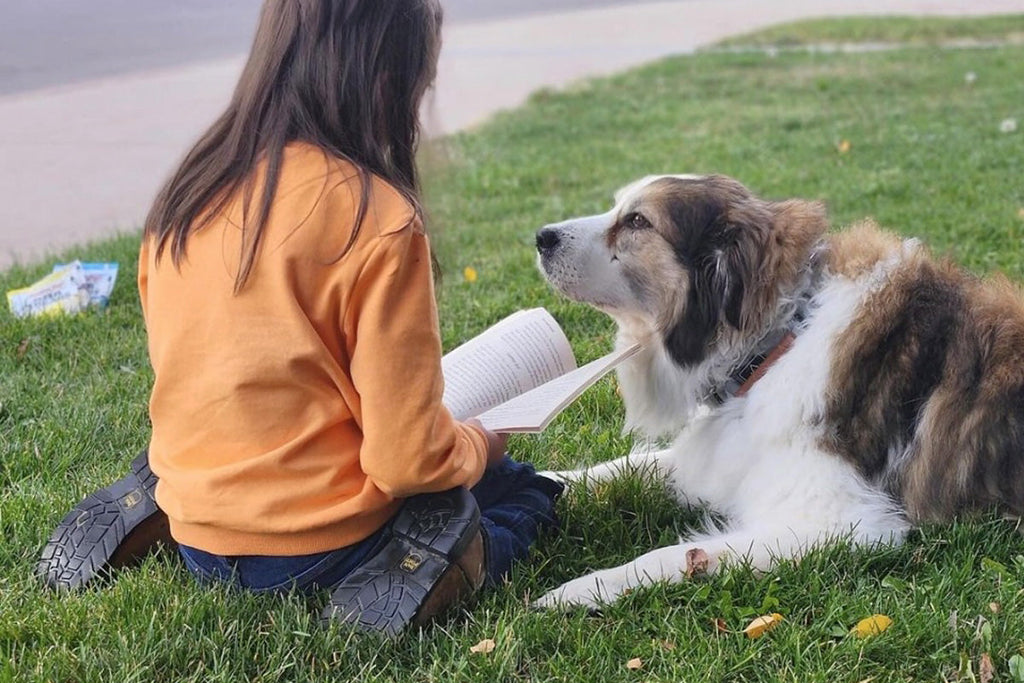 Bonnie the Reading Dog’s Fall Adventures