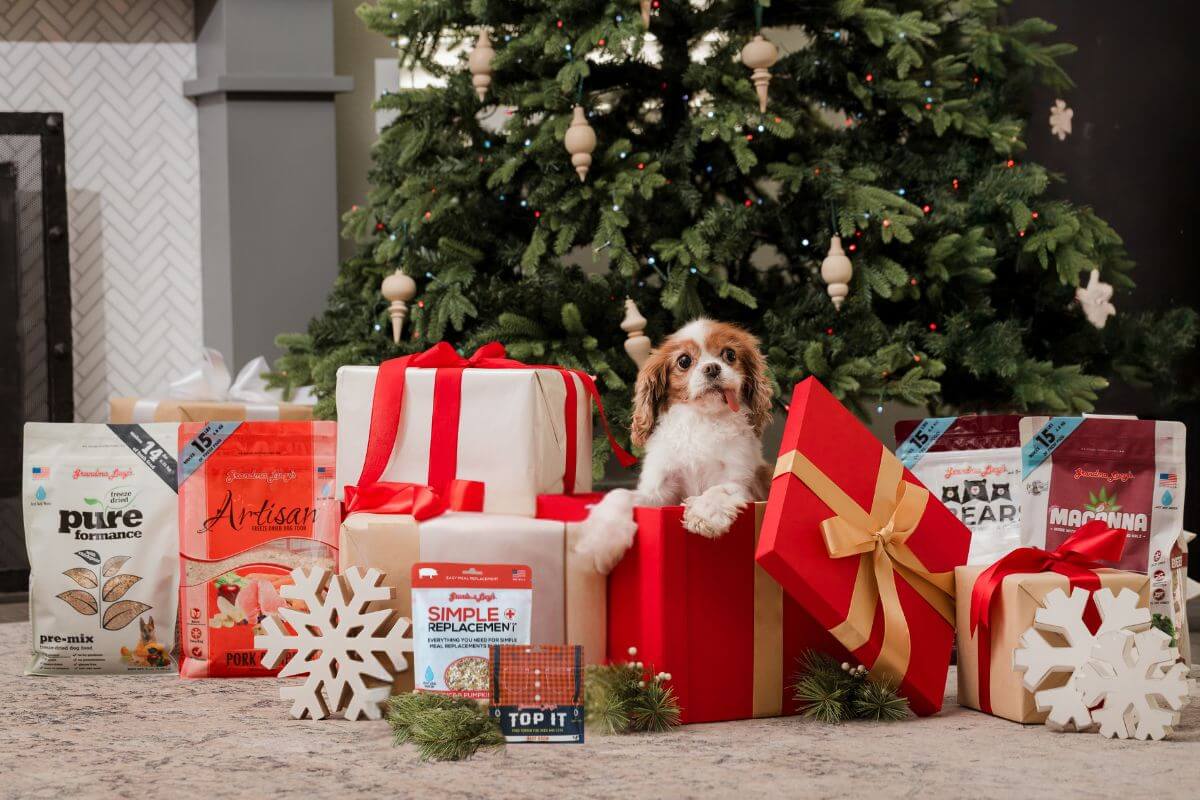 dog with gifts for the holiday season