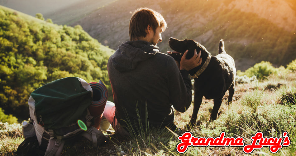 Hiking With Your Dog: Everything A First Timer Should Know