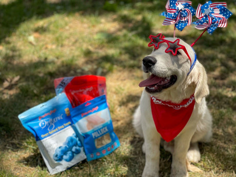 4th Of July Training Tips