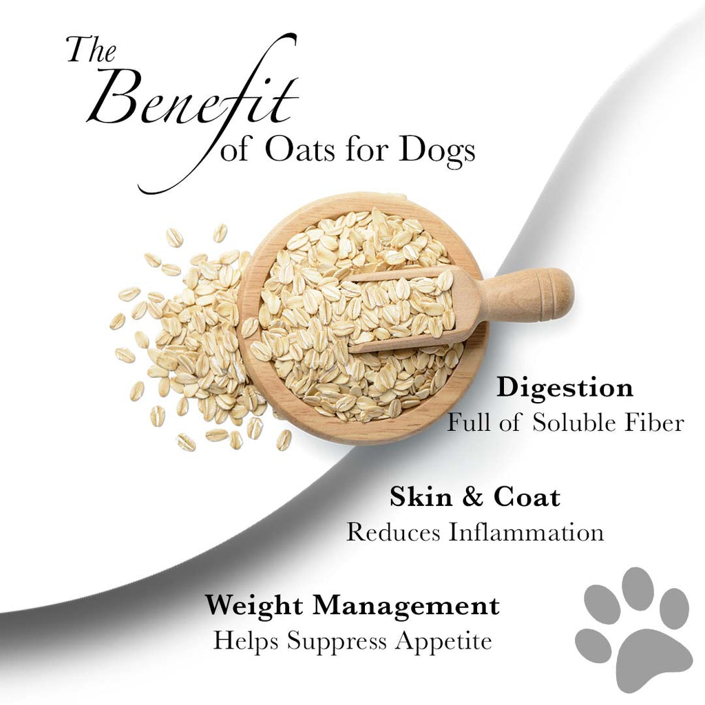 Benefits of Oats for Dogs