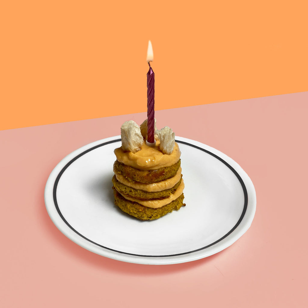﻿ Birthday Cake for your Puppy PAWty!