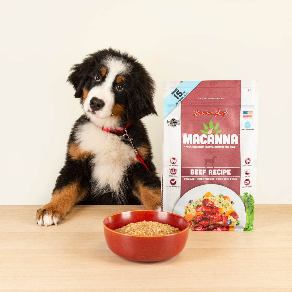 What is Solution Based Feeding?