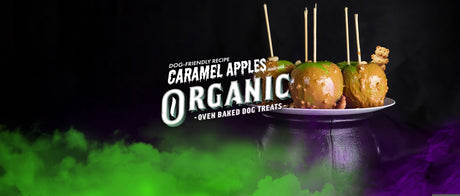 Dog Friendly Caramel Apples Recipe with Holiday Organics
