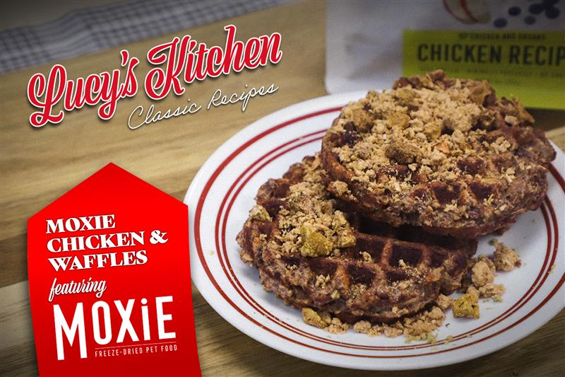 Let's Make Moxie Chicken & Waffles!