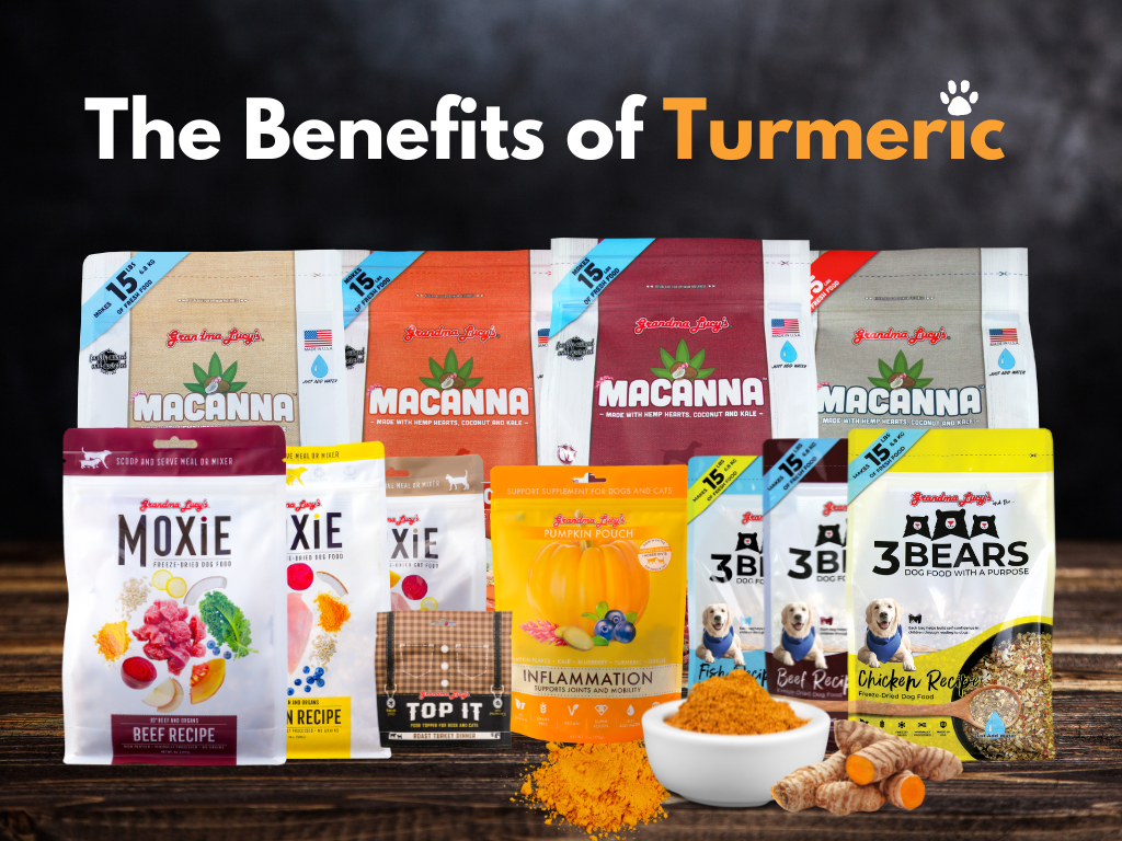 The Benefits of Turmeric in a Dog's Diet