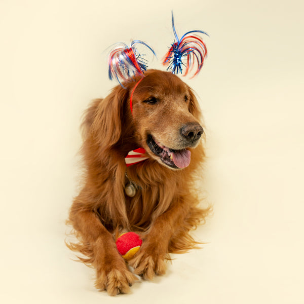 Memorial Day Recipes