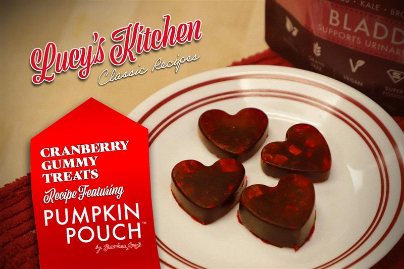 Let's Make Cranberry Gummy Treats!