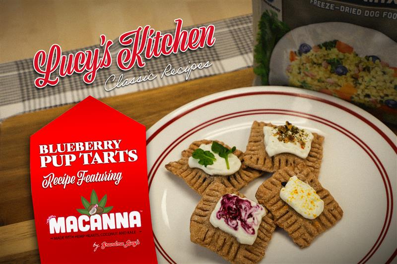 Let's Make Blueberry Pup Tarts!
