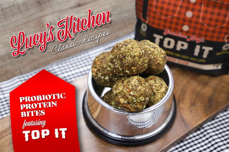 Let's Make Probiotic Protein Bites!