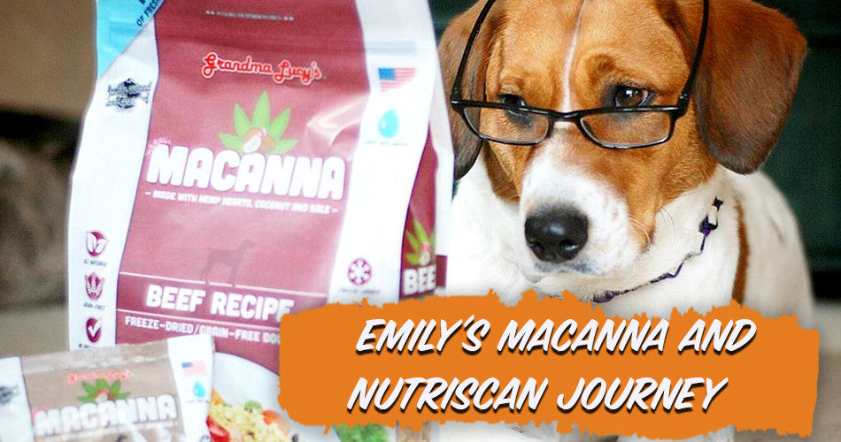 Emily's Macanna and Nutriscan Journey