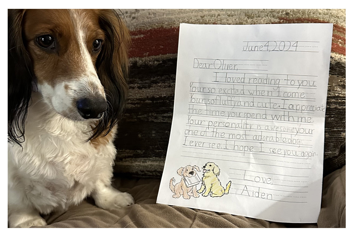 Meet Oliver the literacy dog 