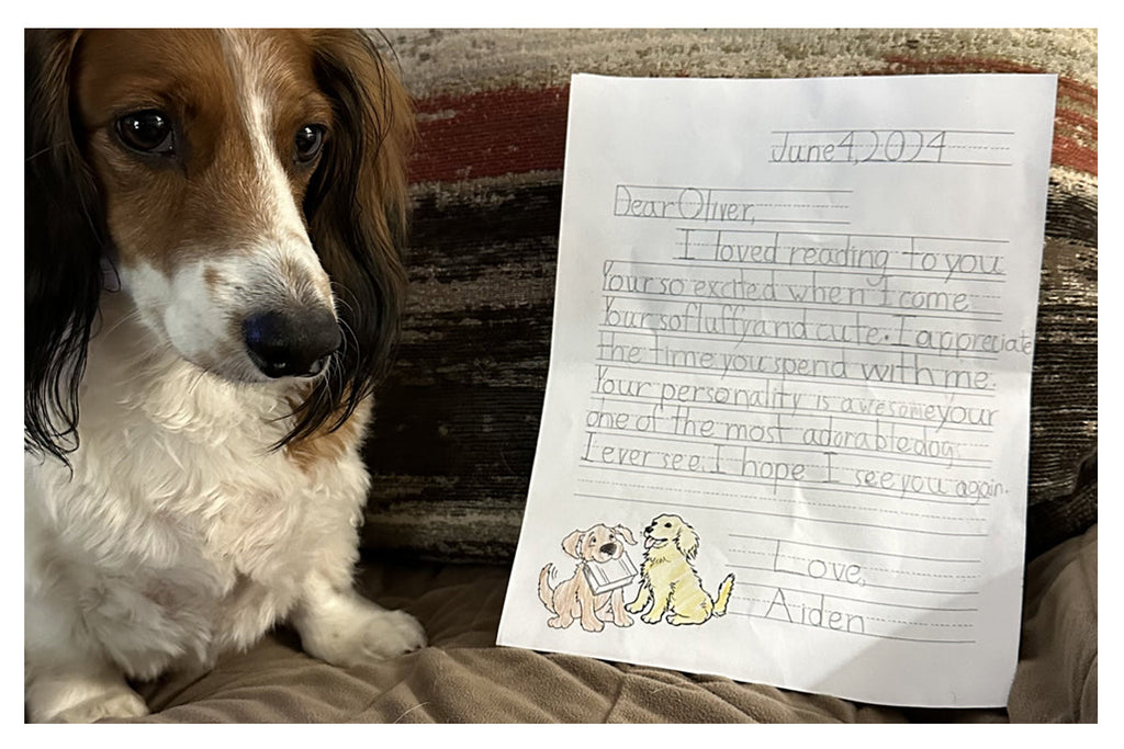 Meet Oliver the literacy dog 