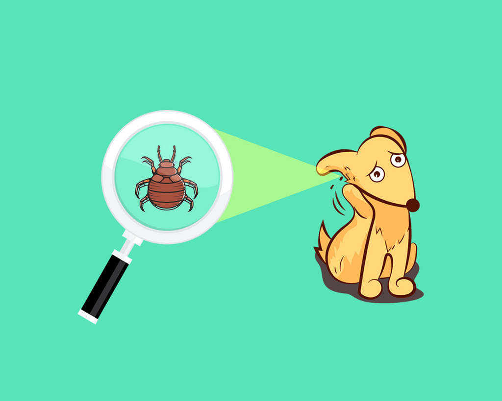 Natural and non-toxic flea remedies