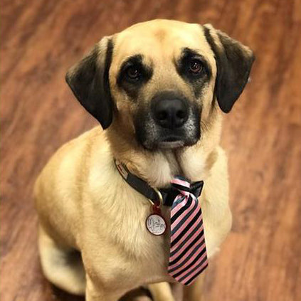 Mister's Health Journey