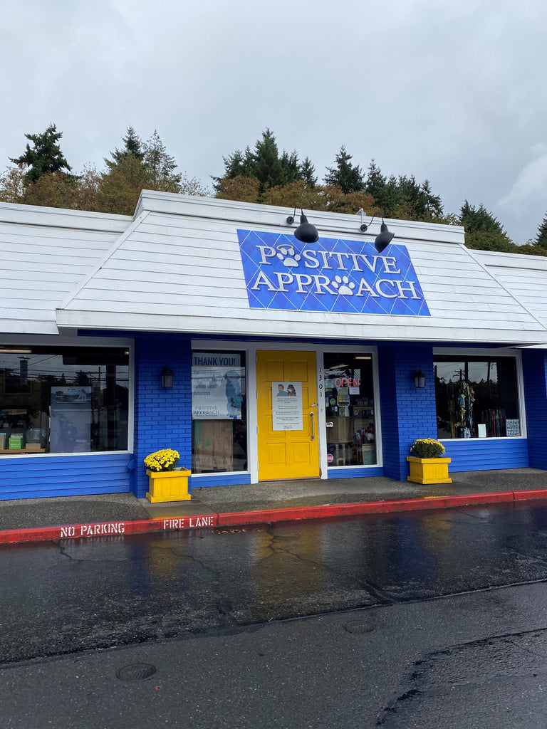 Positive Approach: Tacoma's Top Local Spot For All Things Dog