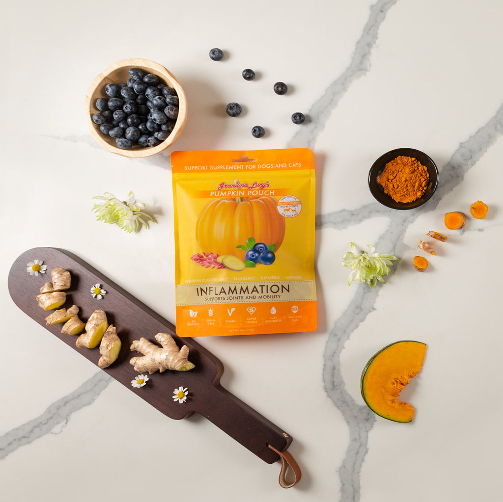 Pumpkin Pouch Inflammation Flat Lay 