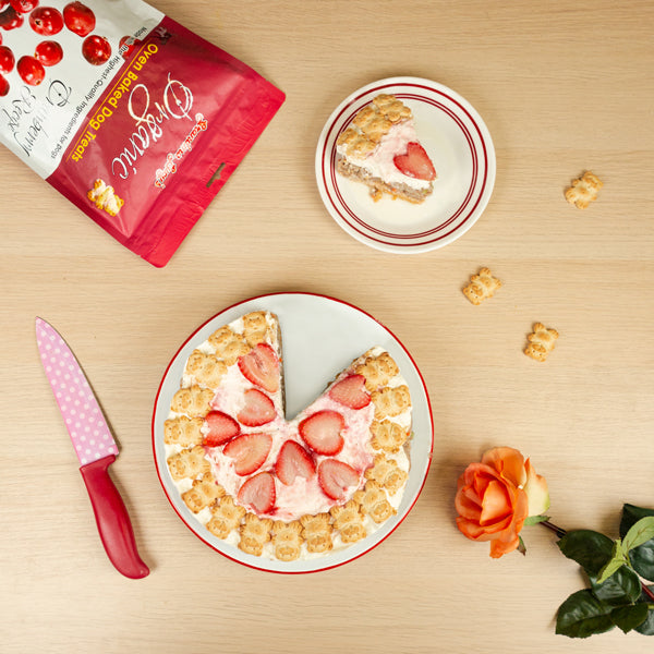Flatlay of pup-friendly cheesecake topped with strawberries and treats. 