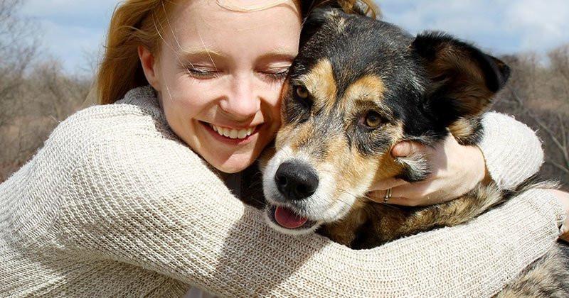 How To Decide What To Feed Your Pet