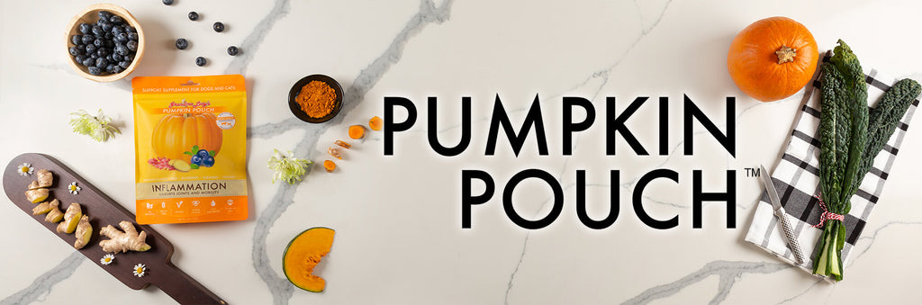 Pumpkin Pouches
