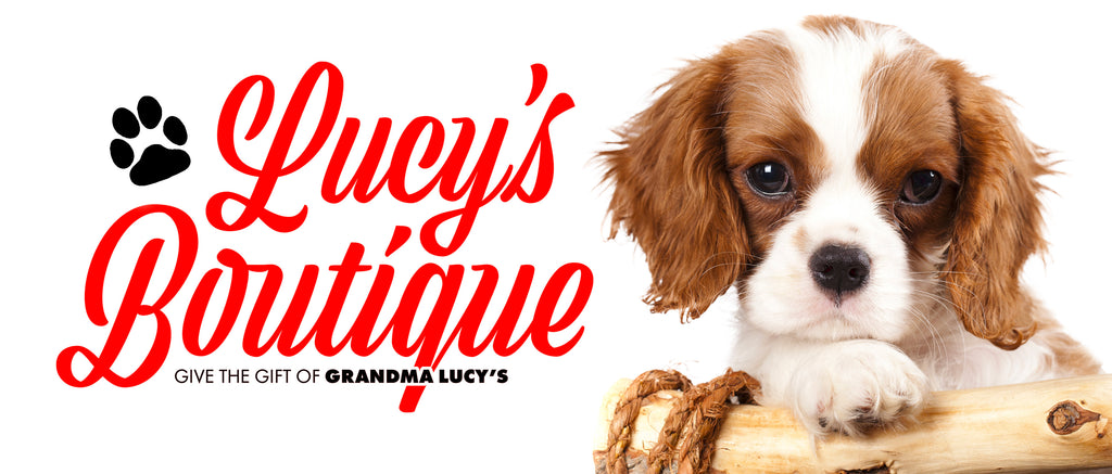 Lucy's Boutique